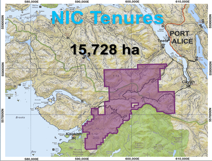NIC-TENURES-MAP1W